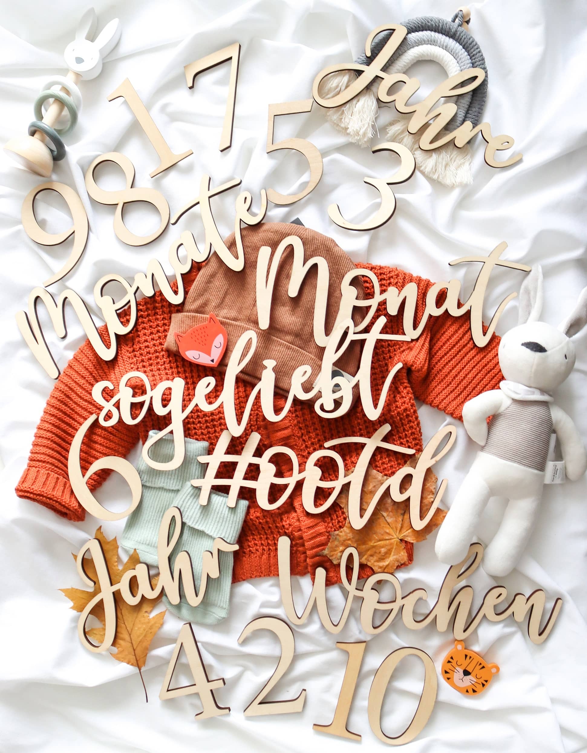 Baby Meilensteine Holz