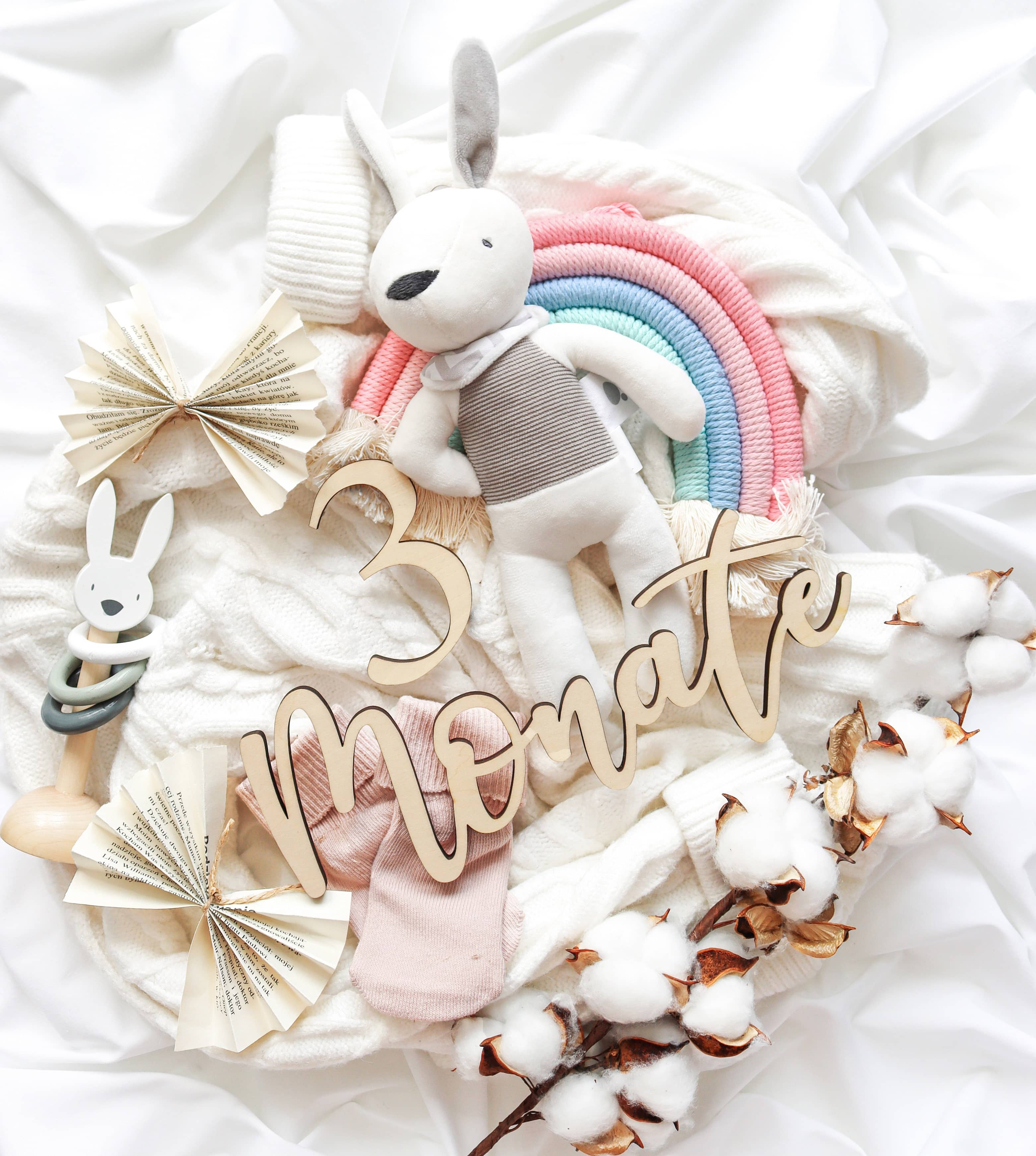 Baby Meilensteine Holz