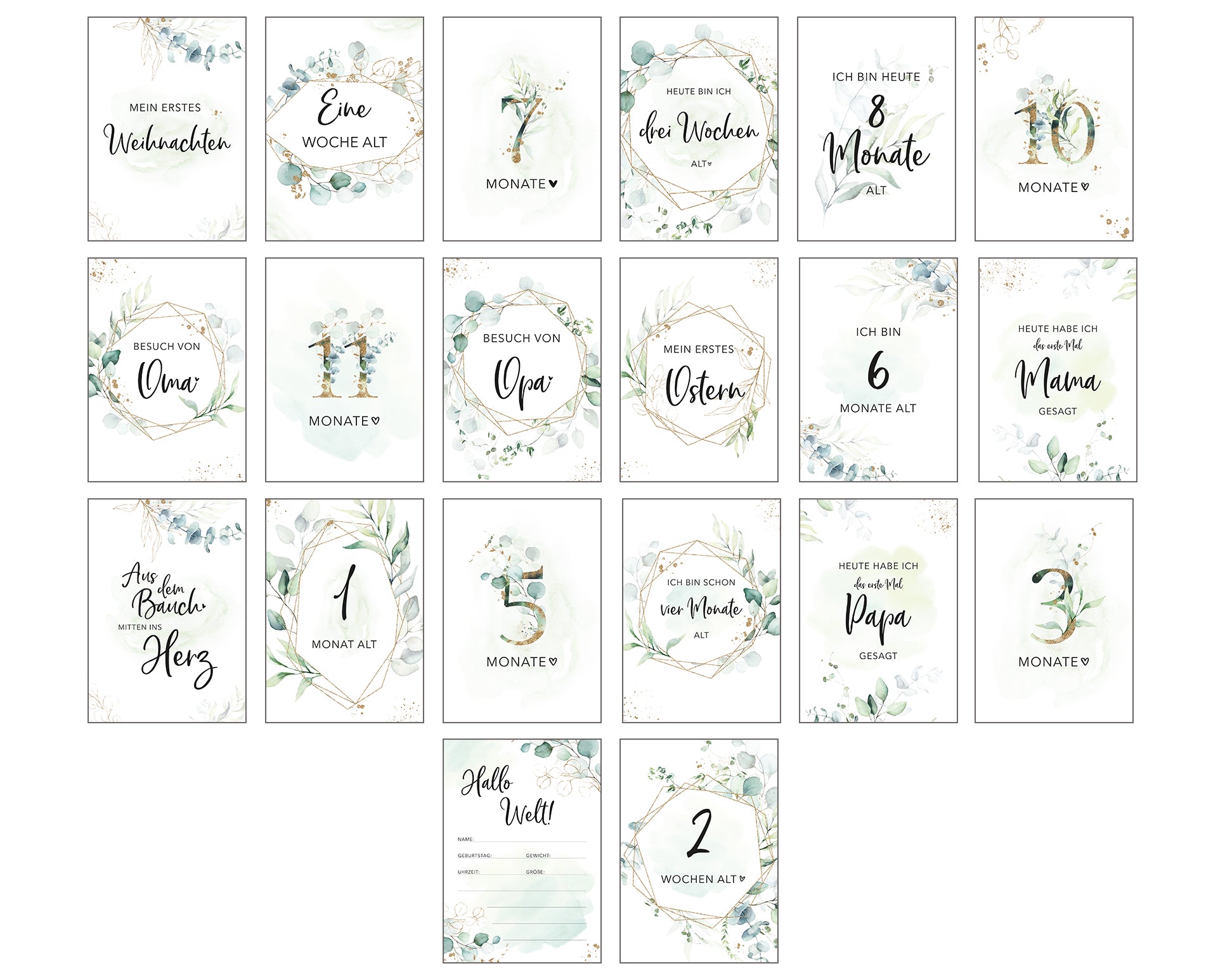 Meilensteinkarten Baby Eukalyptus Set