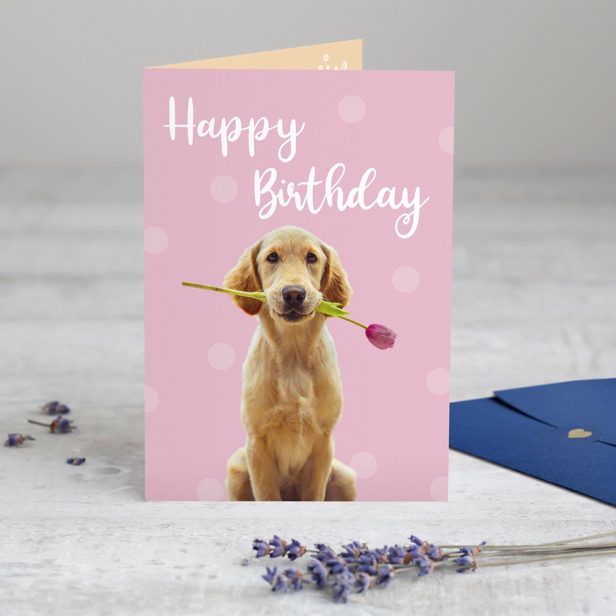 Geburtstagskarte Happy Birthday - WUFFWUFF - JoliCoon
