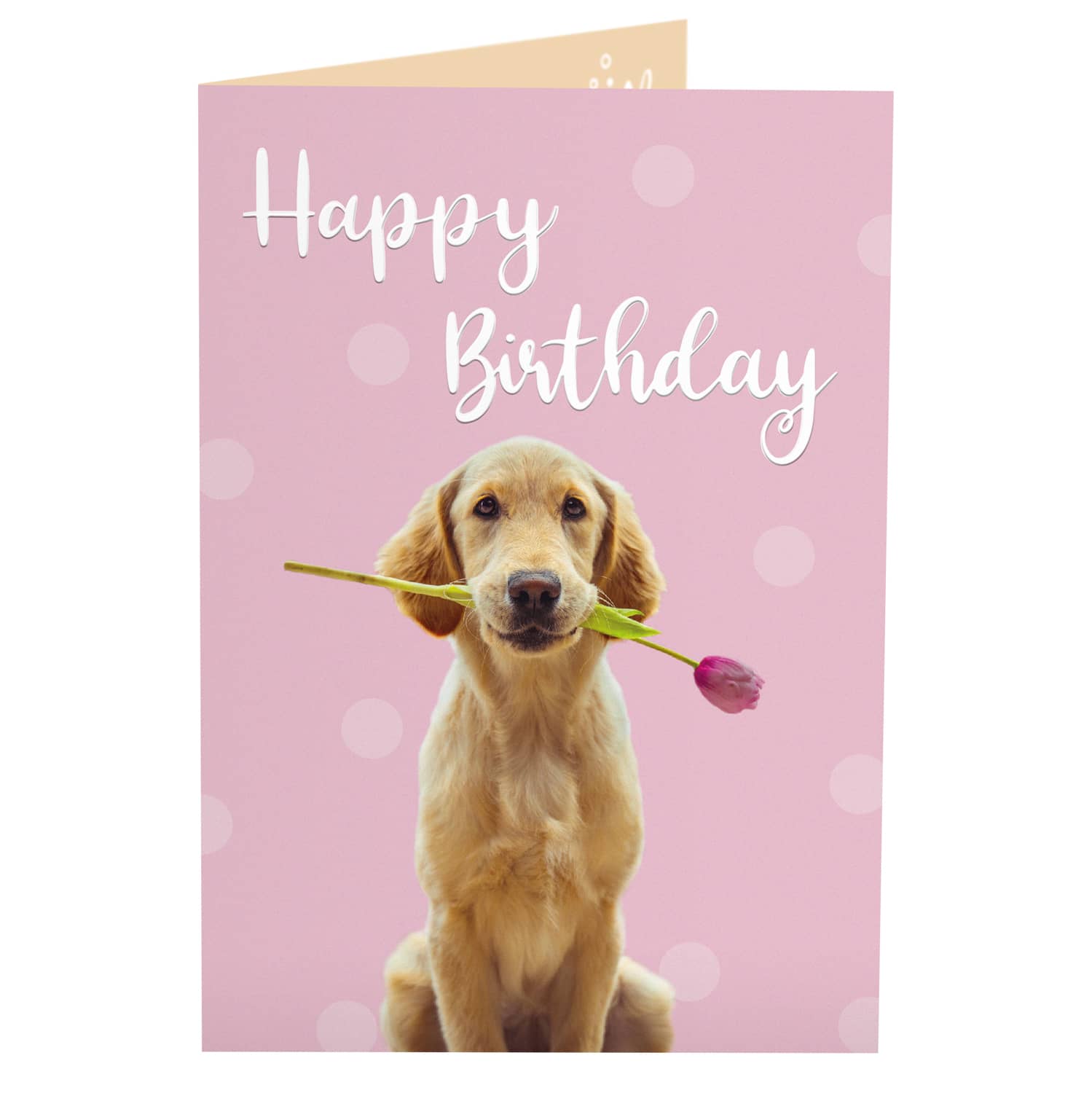 Geburtstagskarte Happy Birthday - WUFFWUFF - JoliCoon